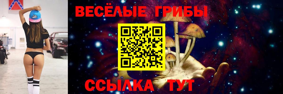 Азнакаево  Псилоцибиновые грибы Psilocybine cubensis  Вход с VPN 